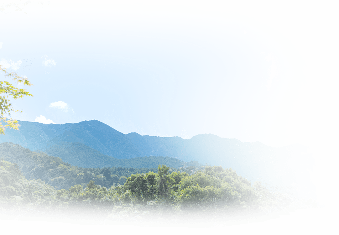 田主丸
