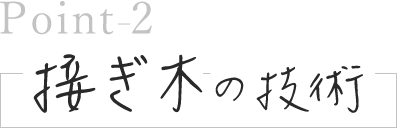 接ぎ木の技術