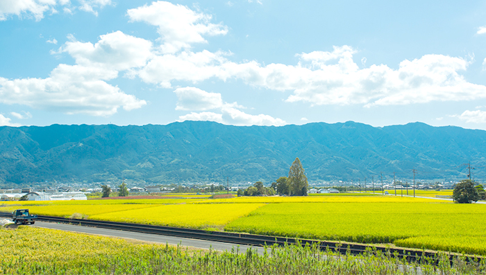 風景