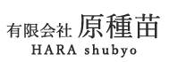 ロゴ